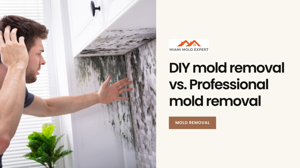 DIY mold removal vs. professional mold removal