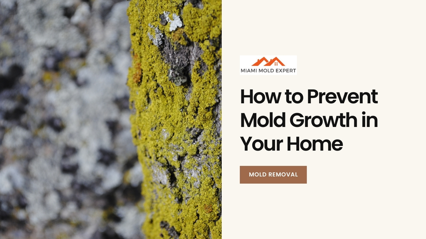 Prevent mold growth